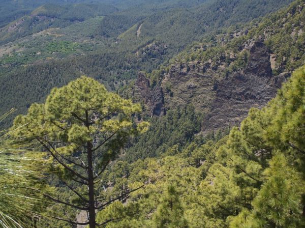 Montaña Las Lajas, Canary Islands