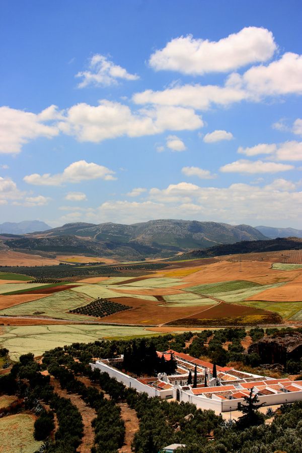 Teba photo 3