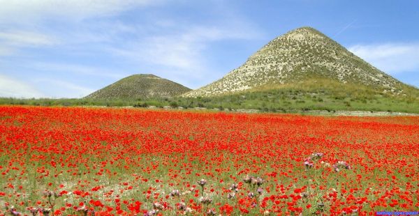 La Sagra, Andalusia