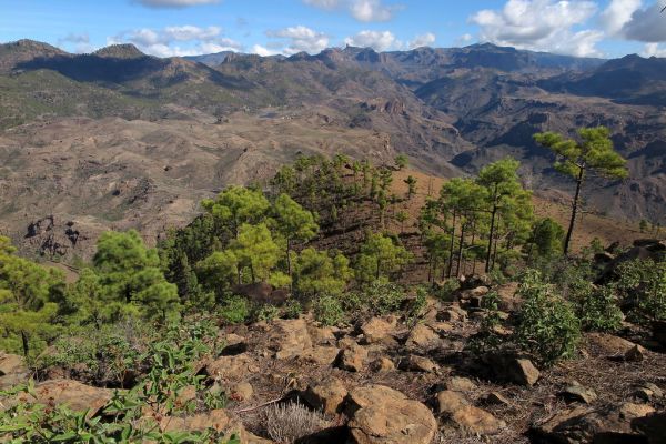 Montaña de Tauro photo 2