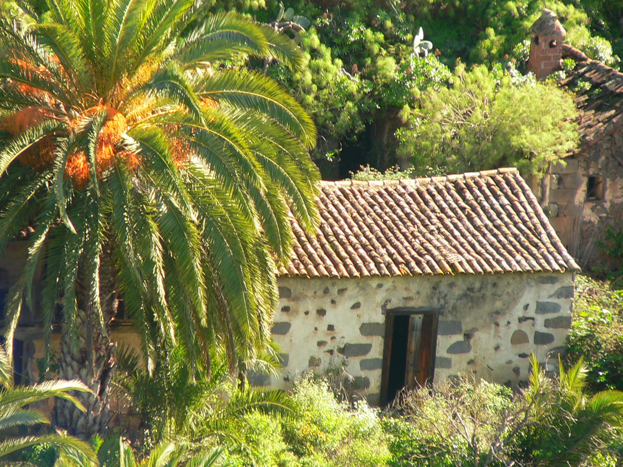 Santa Brígida photo 2