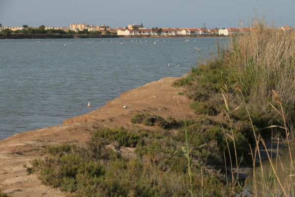 San Pedro del Pinatar, Murcia