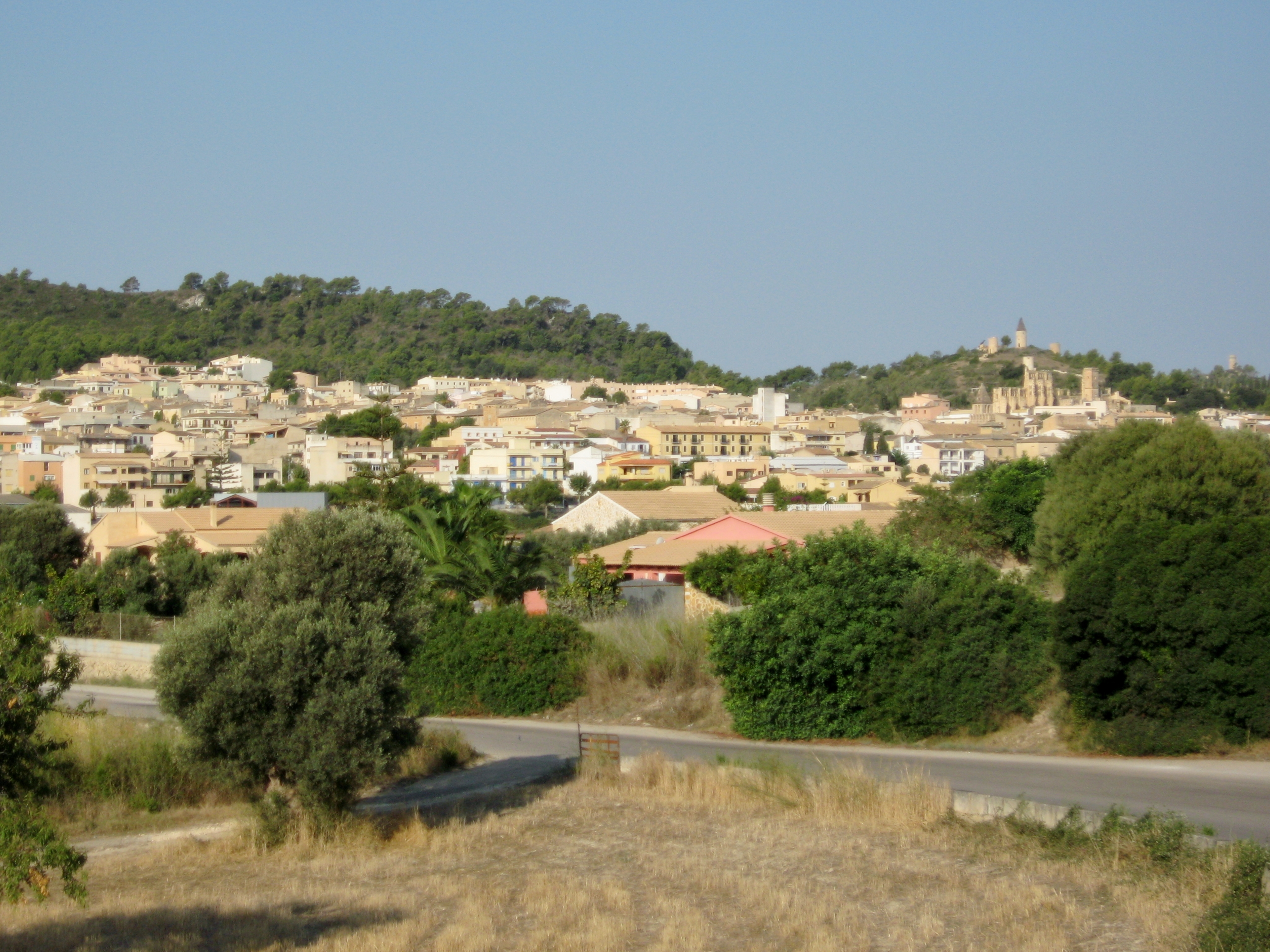 Son Servera photo 3