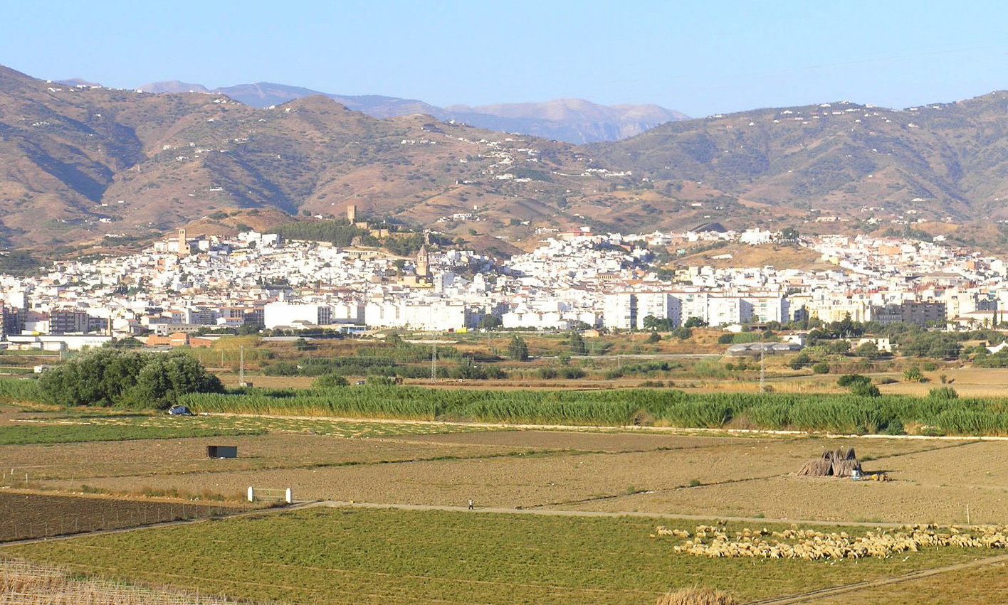 Vélez-Málaga photo 3