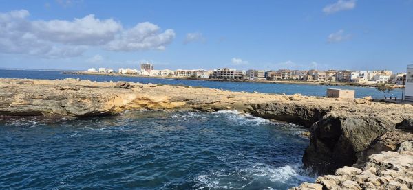 Sant Jordi photo 3