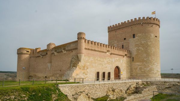 Toro photo 2