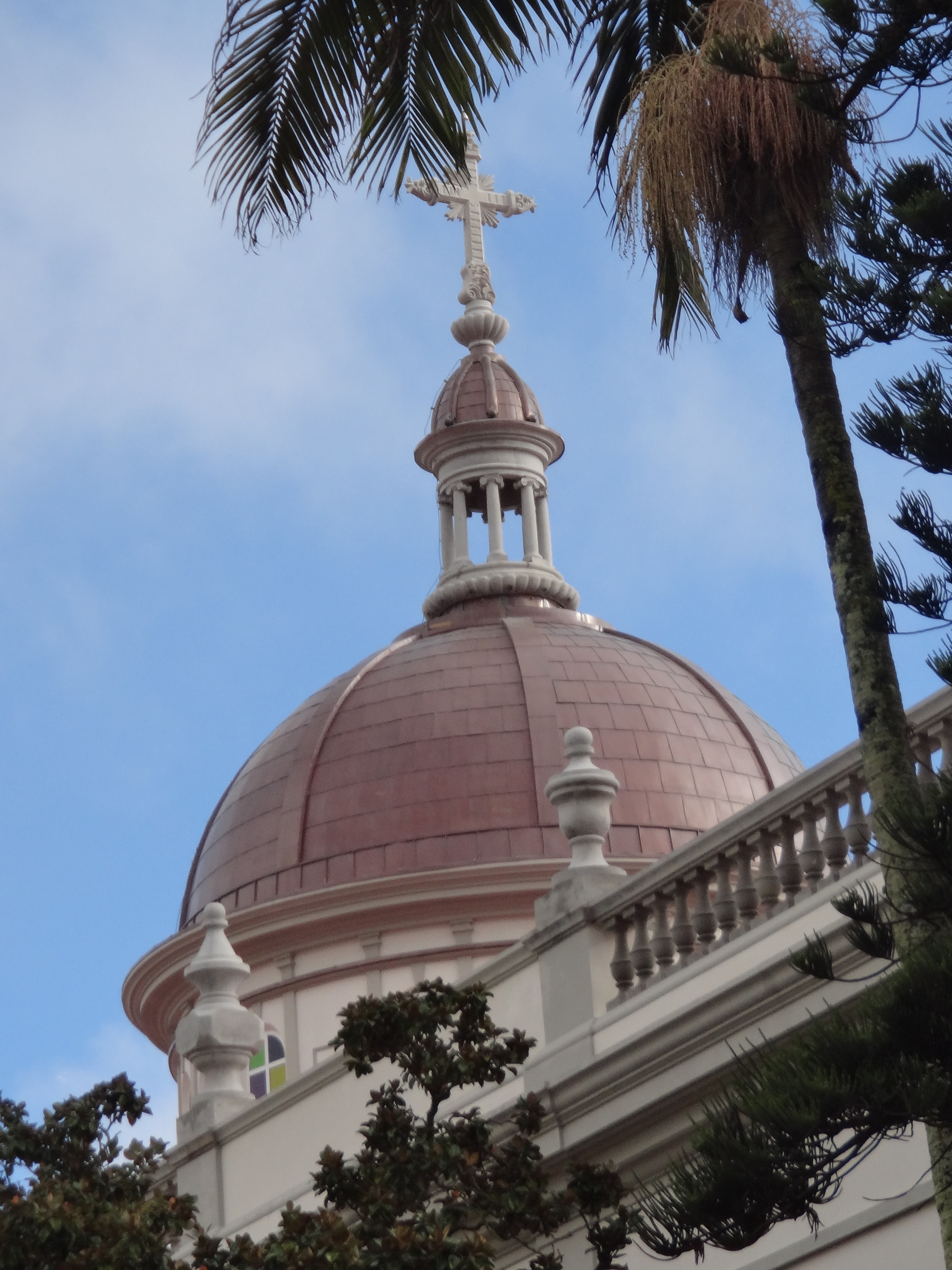 Santa Cruz de Tenerife photo 3