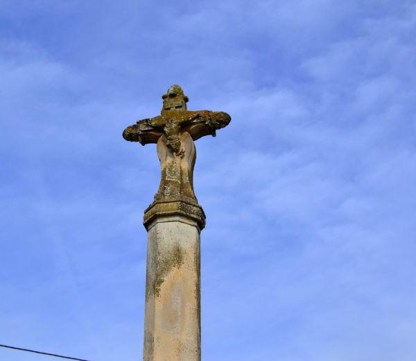 Santa Maria del Camí photo 3