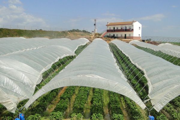 Palos de la Frontera, Andalusia