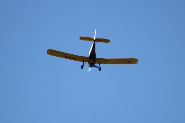 Sollana photo 2