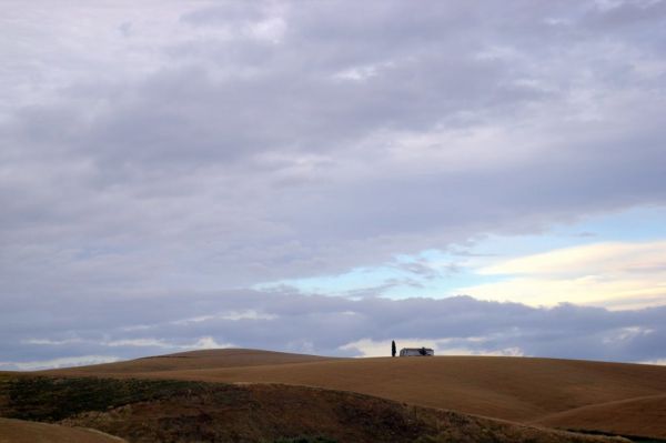 Santaella photo 4