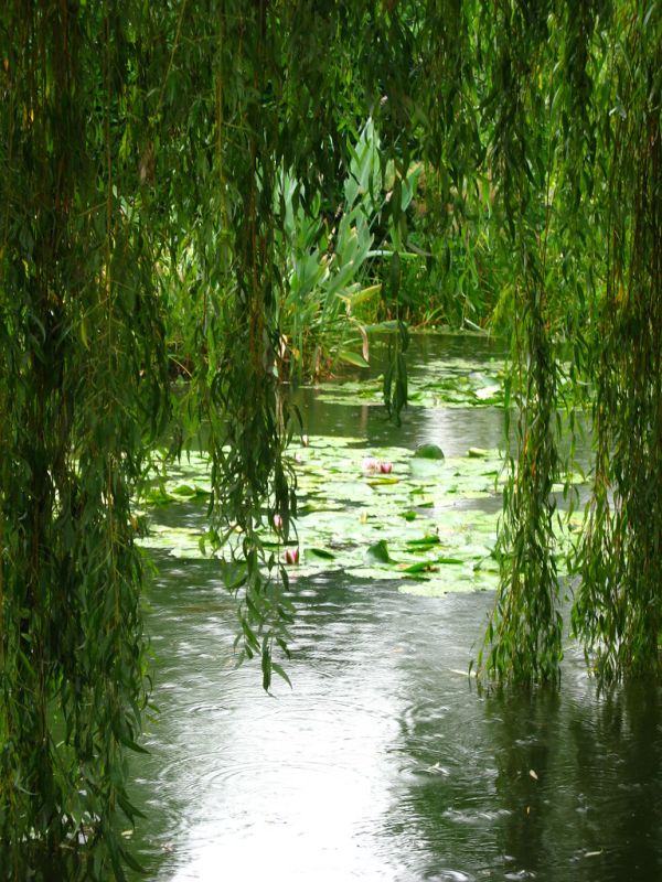 Mont du Saule, Pays de la Loire