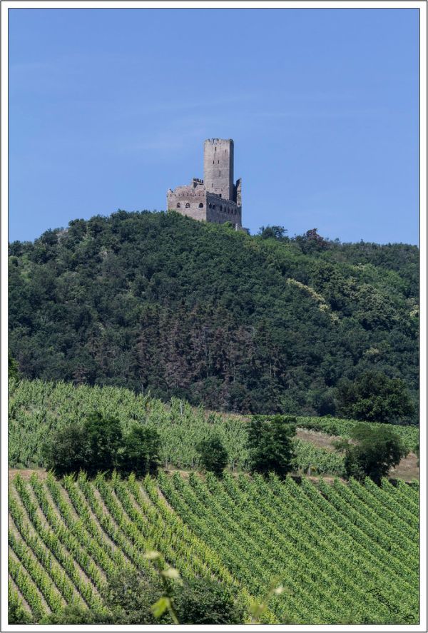 Scherwiller photo 3