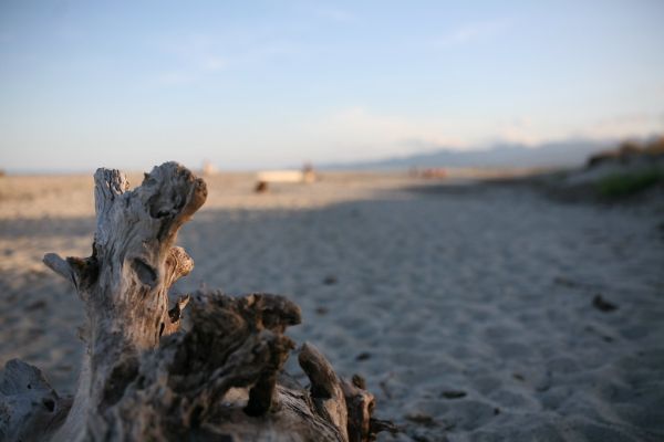 Prunelli-di-Fiumorbo photo 3