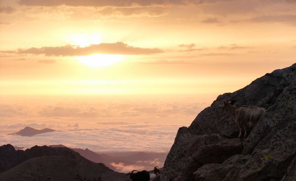 Monte Rotondo photo 4