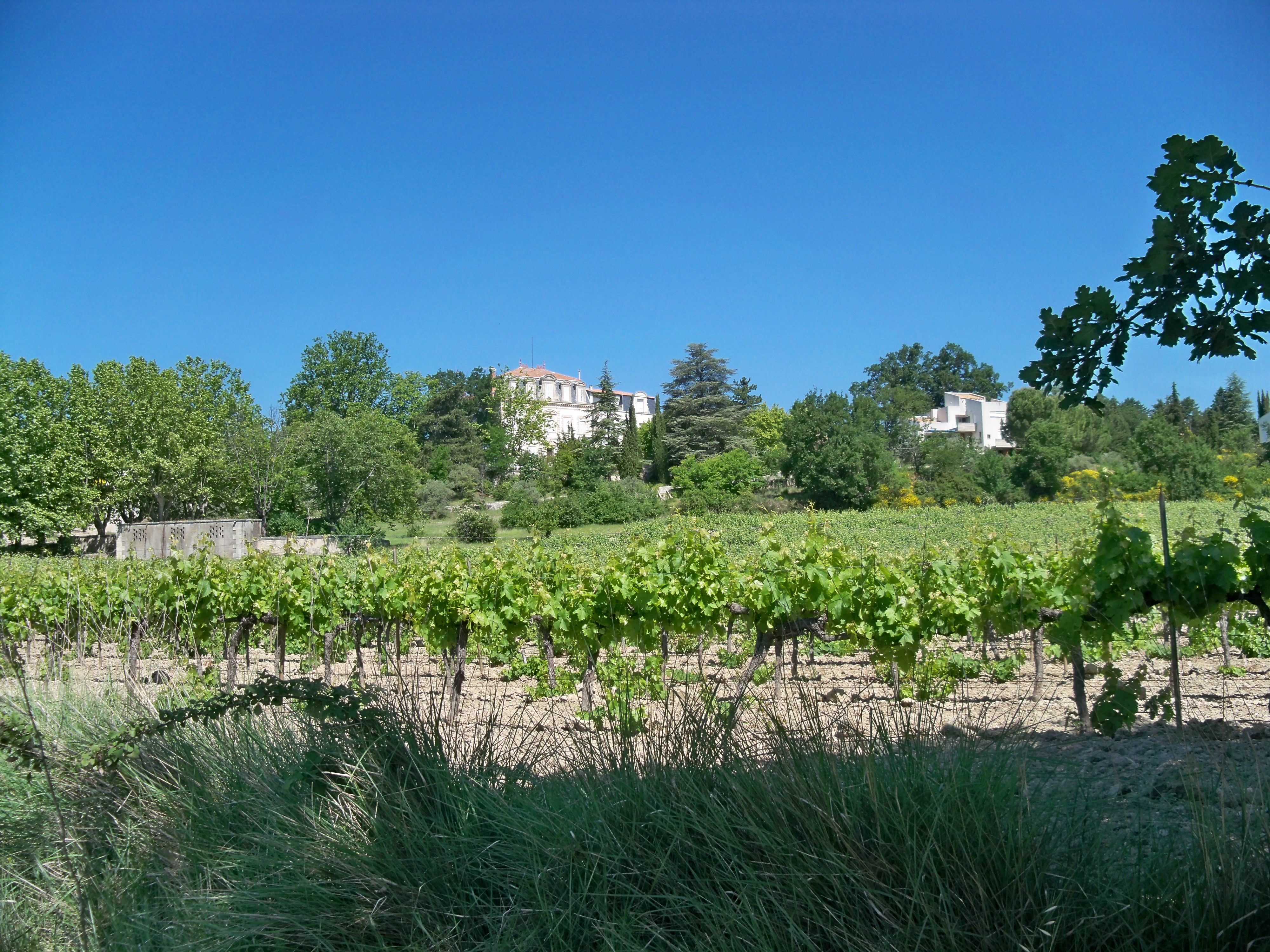 Pierrevert photo 3