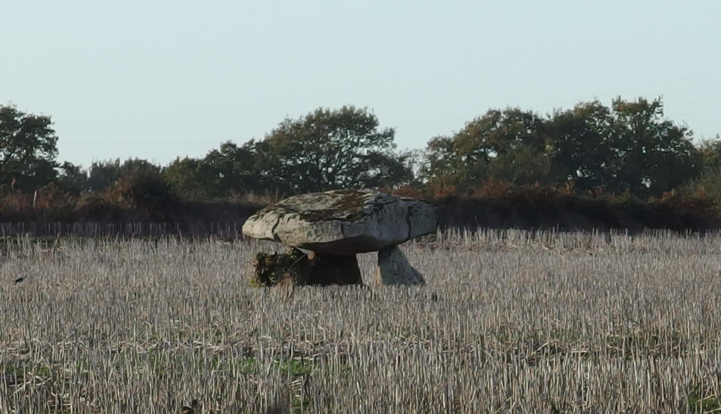 Pluneret photo 2