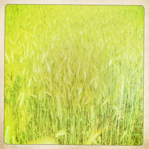 Wittelsheim photo 4