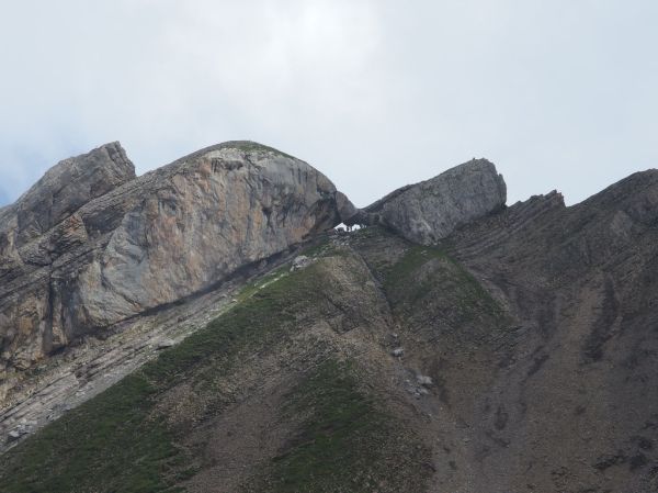 Tête Pelouse photo 3