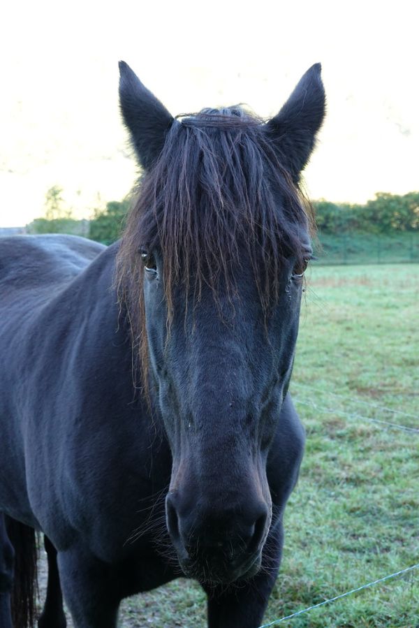 Ugine photo 3