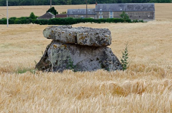 Sainte-Maure-de-Touraine photo 2