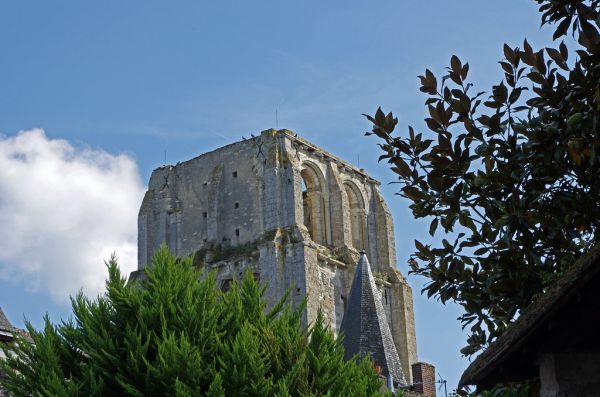 Saint-Martin-en-Haut photo 4