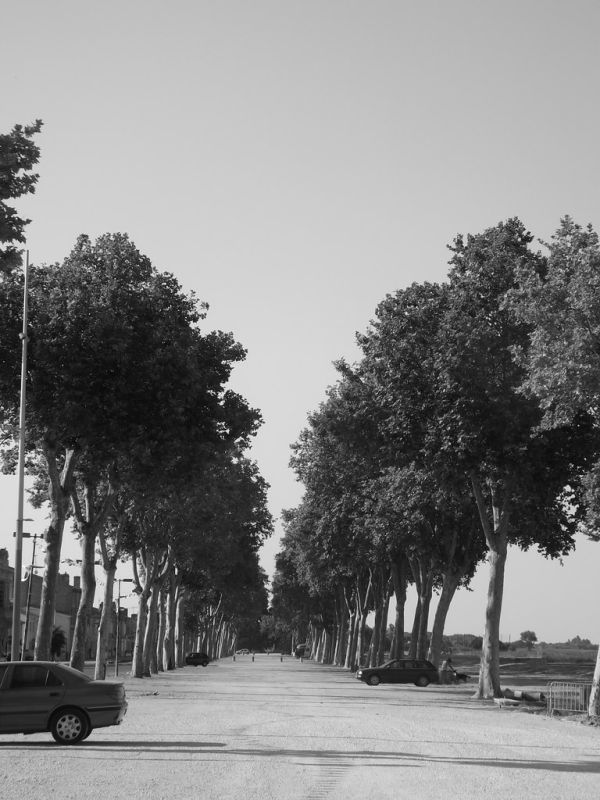 Pauillac photo 3