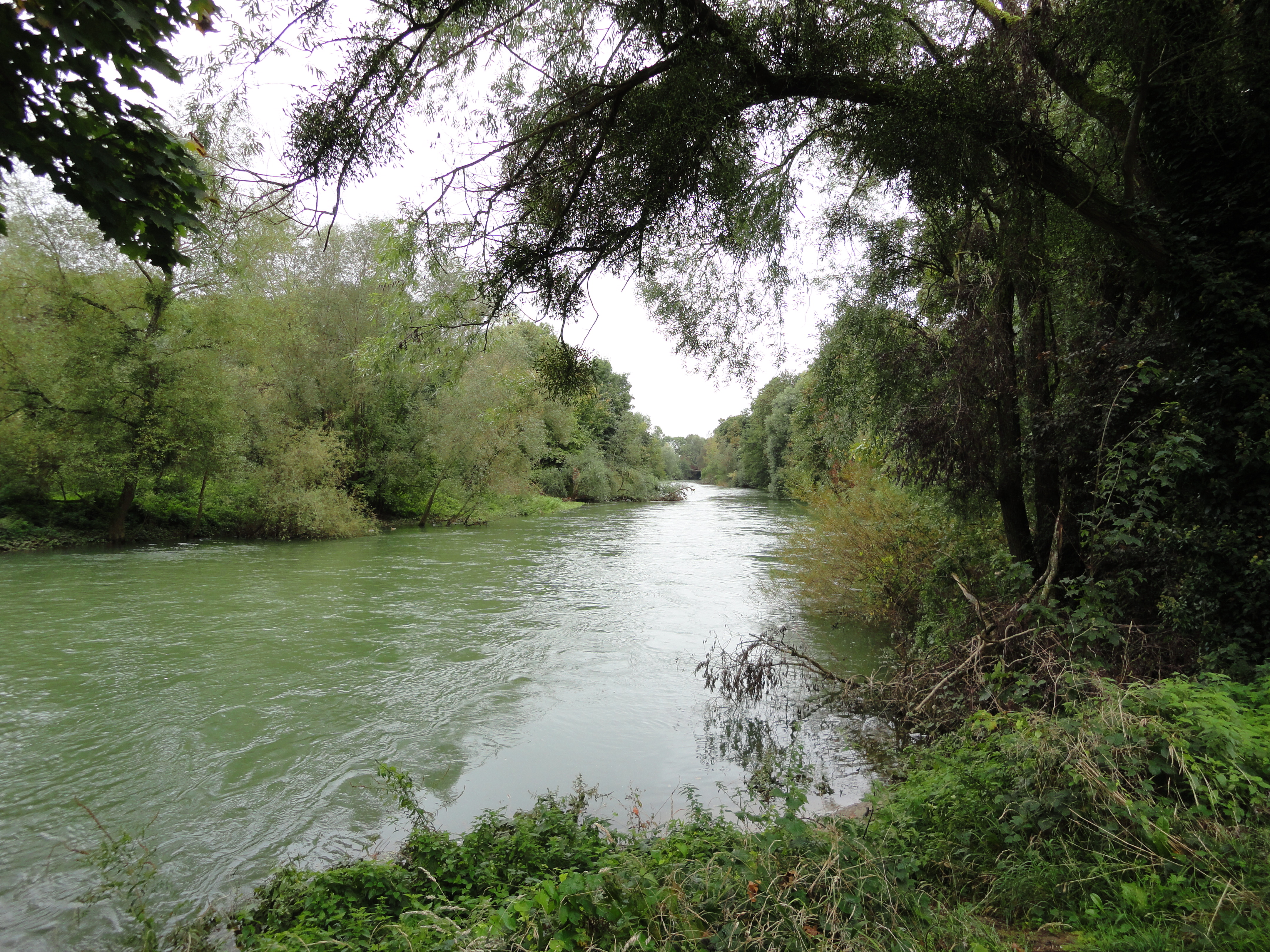 Saint-Dizier photo 2