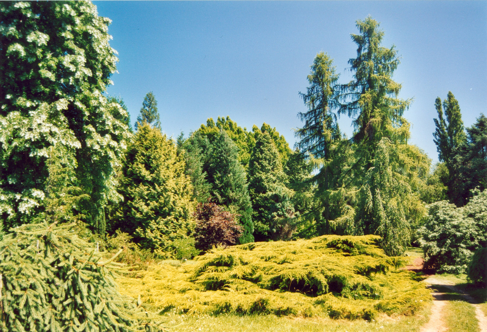 Nogent-sur-Vernisson photo 3