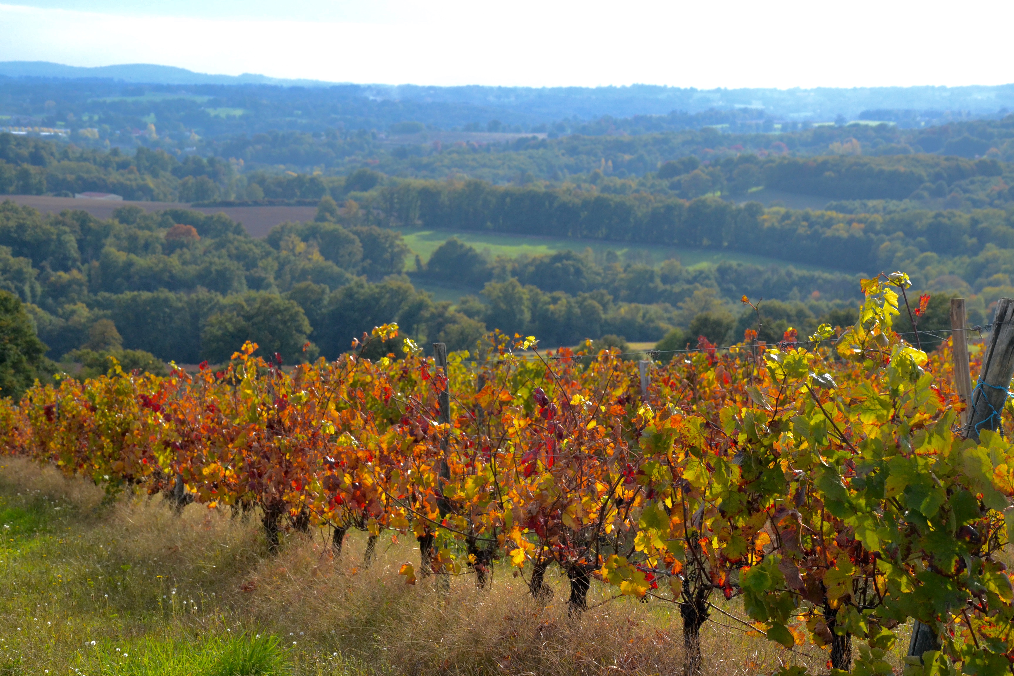 Verneuil-sur-Vienne photo 3