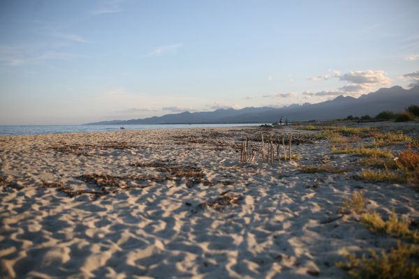Prunelli-di-Fiumorbo photo 2