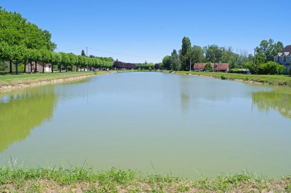 Saint-Avertin, Centre-Val de Loire