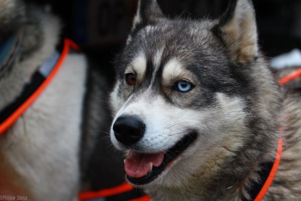 Samoëns photo 2