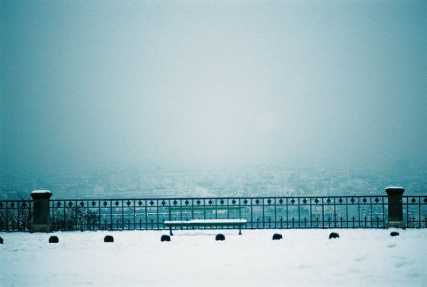Saint-Cloud photo 4