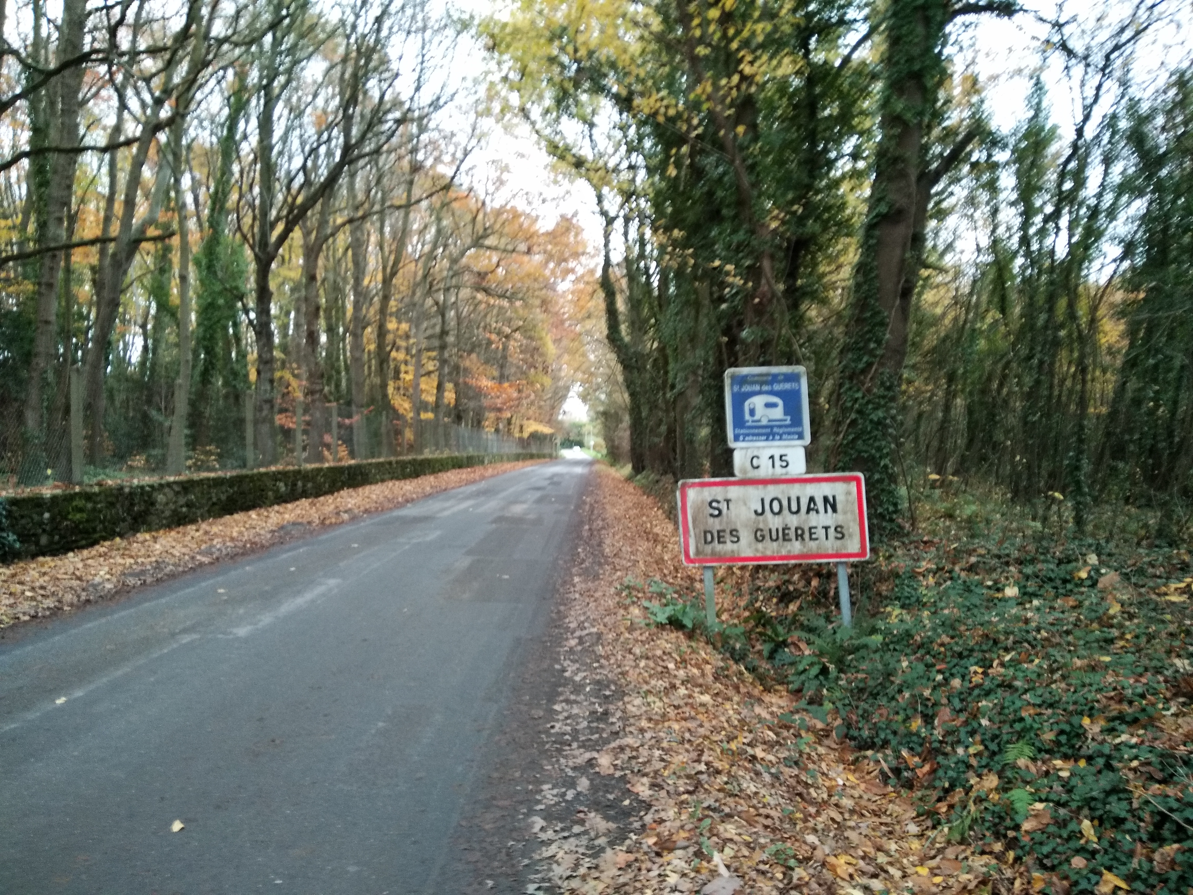 Saint-Jouan-des-Guérets photo 3
