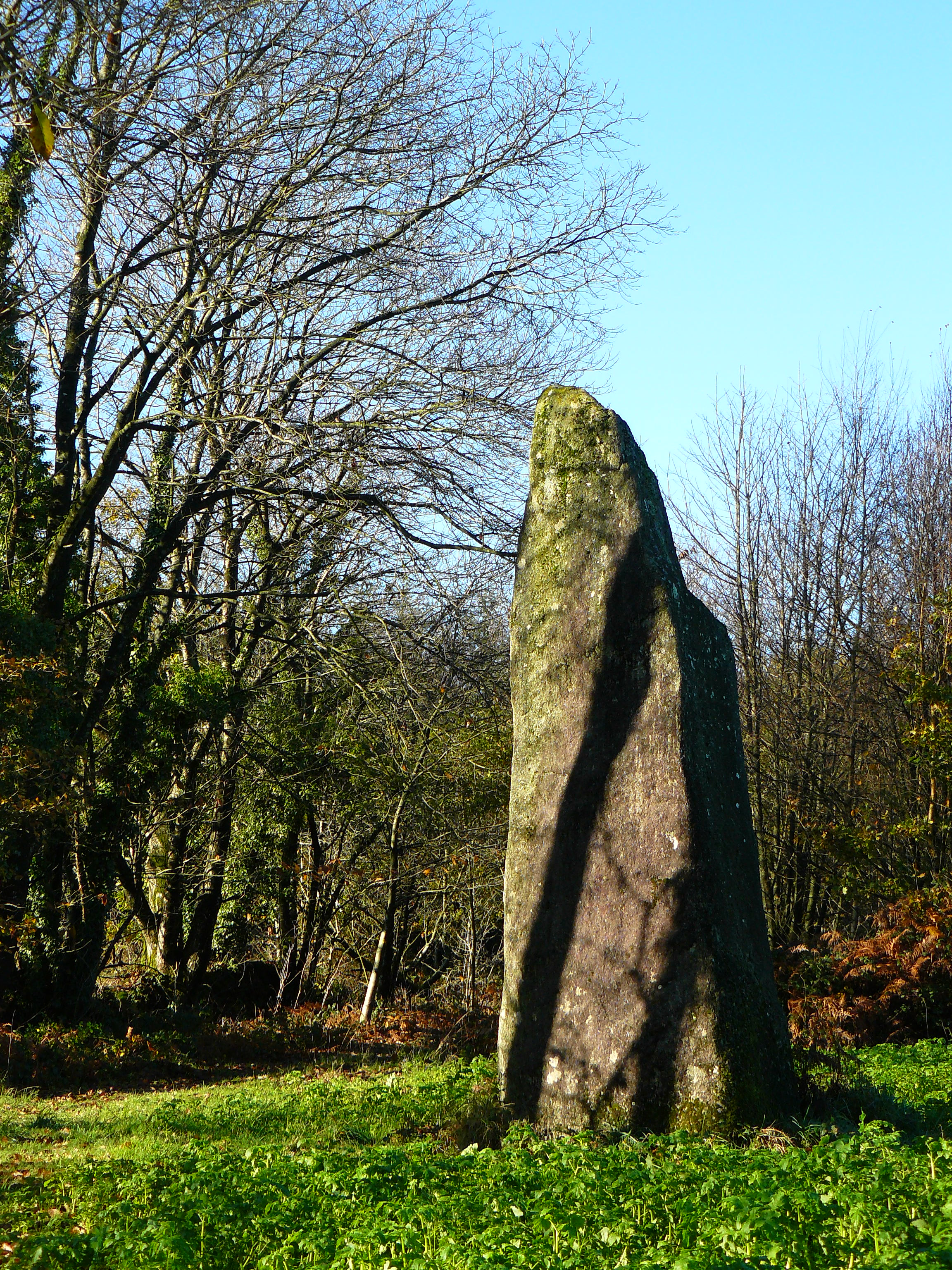Saint-Jean-Brévelay, Brittany