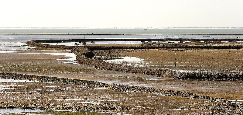 Sainte-Marie-de-Ré photo 2
