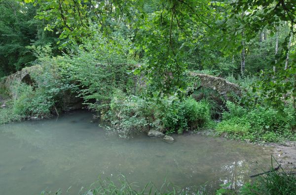 Sainte-Marie-aux-Chênes photo 4