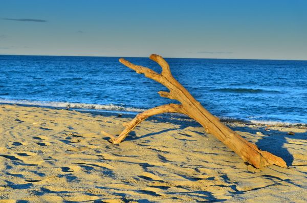 Saint-Cyprien-Plage photo 3