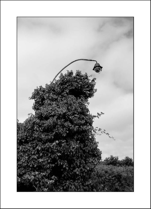 Pleubian photo 3