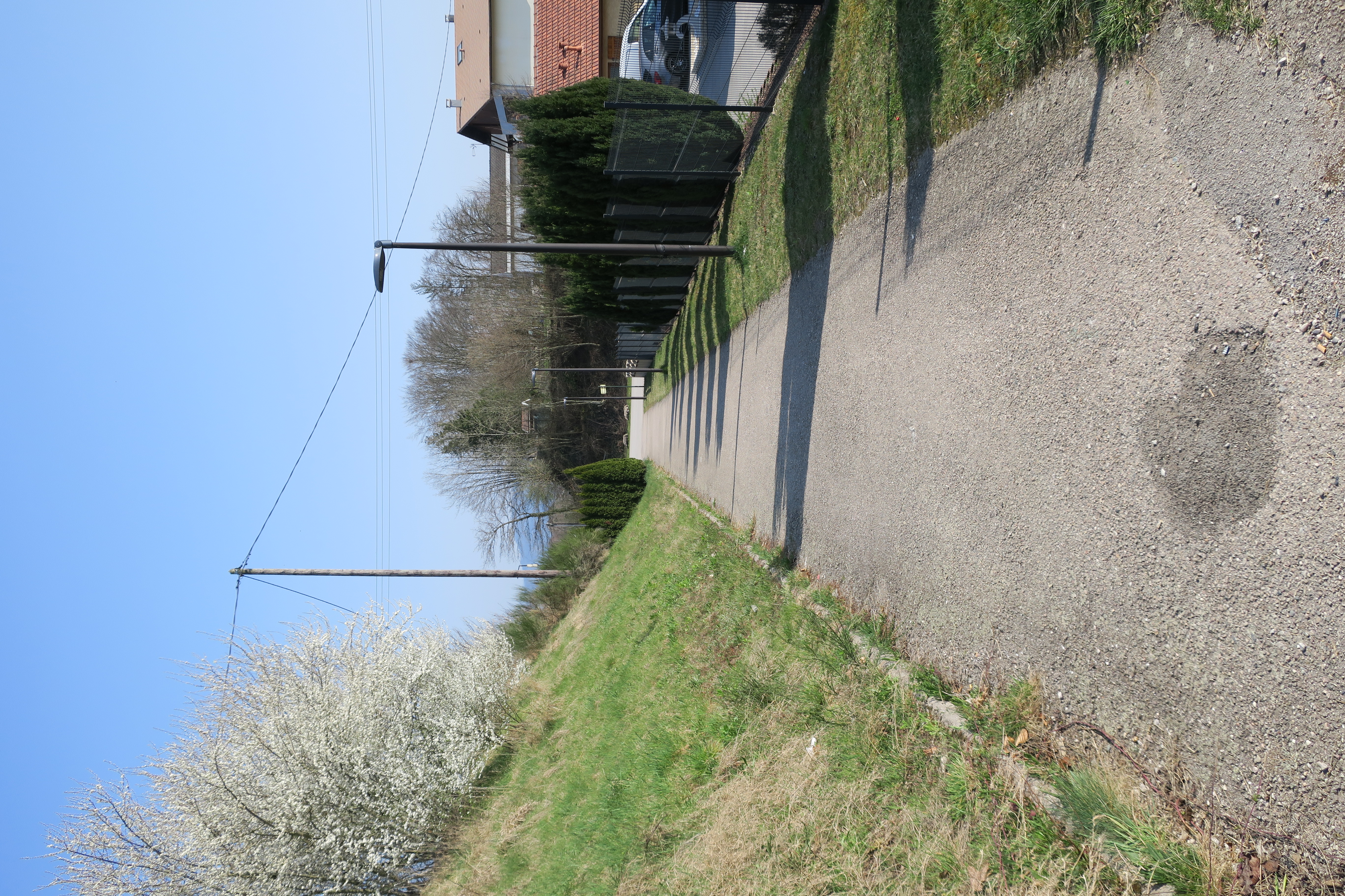 Saint-Nabord photo 4