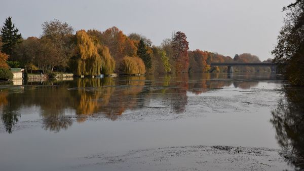Saint-Pryvé-Saint-Mesmin photo 2