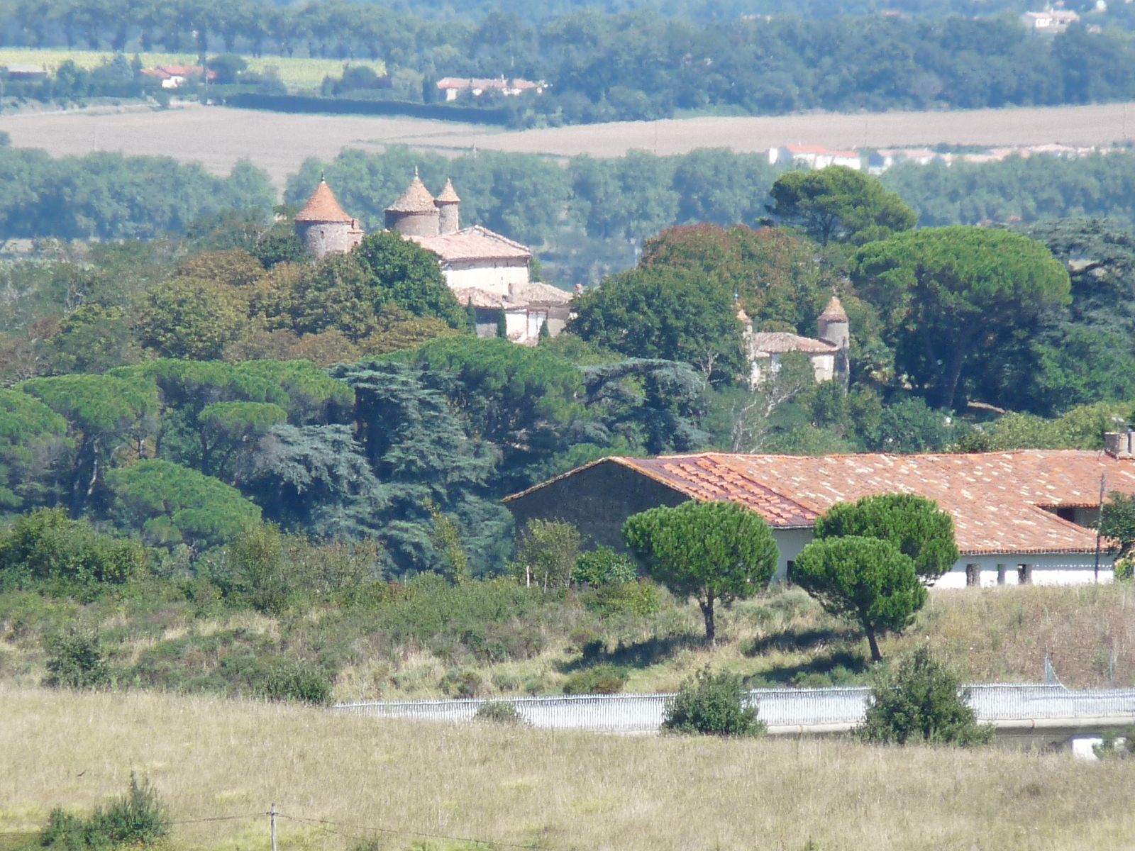 Vieillevigne photo 3