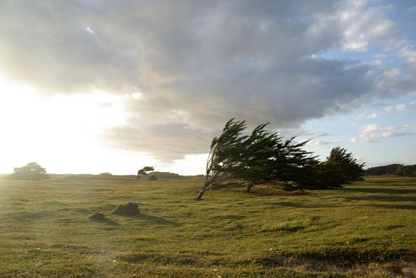 Quiberon photo 4