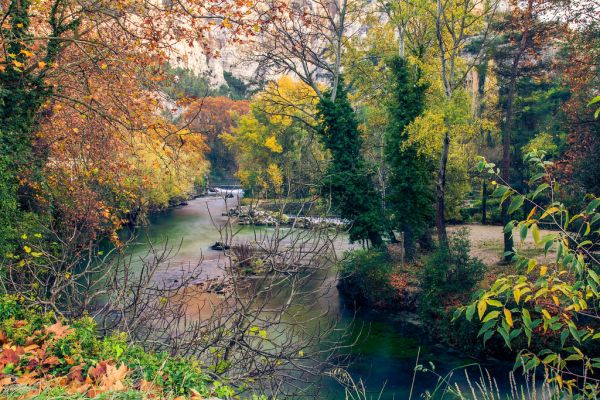 Vaucluse photo 3