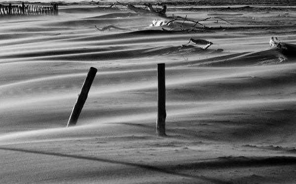 Sainte-Marie-Plage photo 4