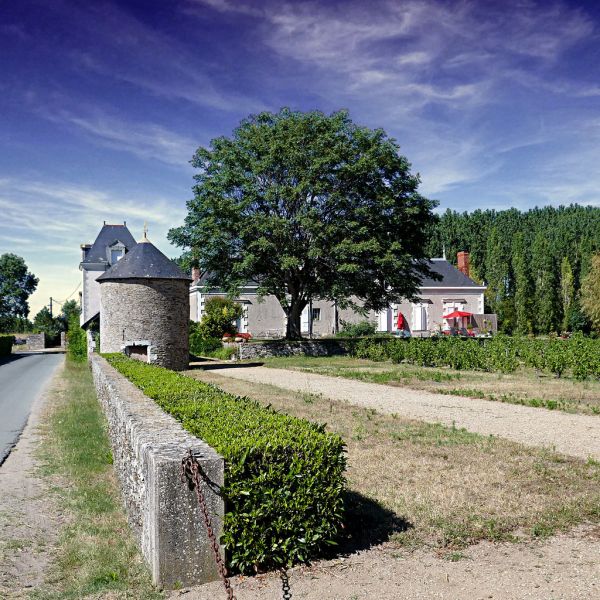 Sainte-Gemmes-sur-Loire, Pays de la Loire
