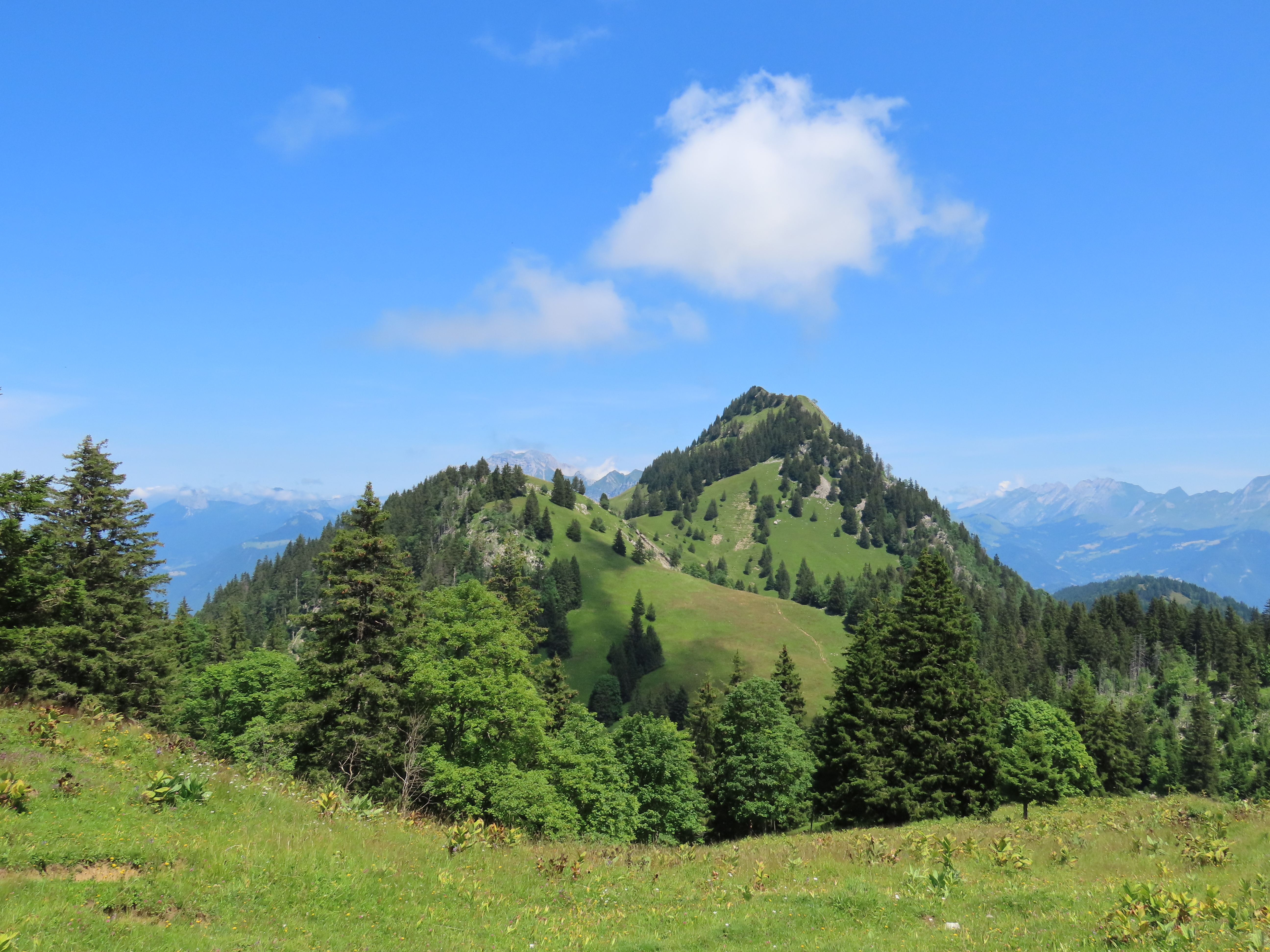 Tête de l'Ours photo 2