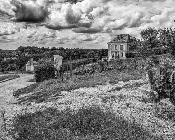 Vernou-sur-Brenne photo 4