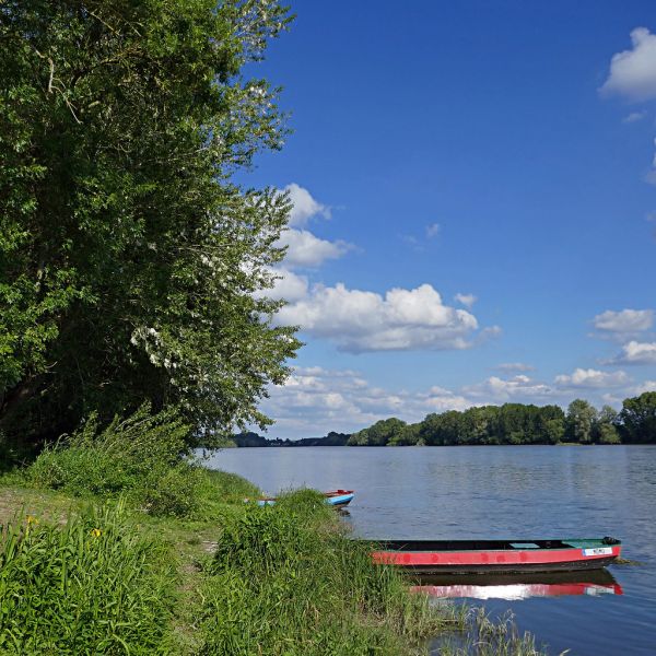 Sainte-Gemmes-sur-Loire photo 4